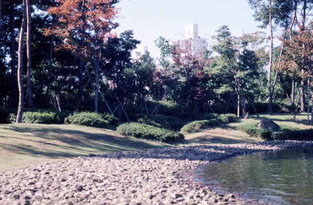 中央公園