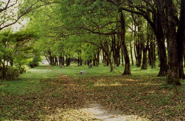 千間土居公園