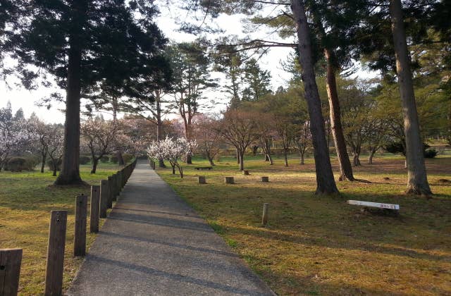 県民の森