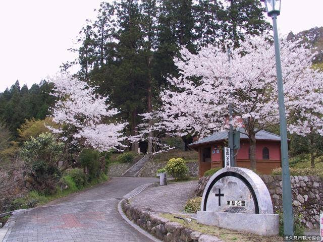 墓地公園春の風景