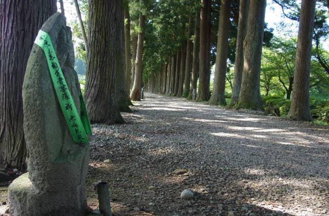 立山寺並木の参道