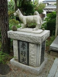 孝行犬の墓