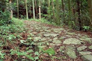 鹿ヶ瀬峠石畳道