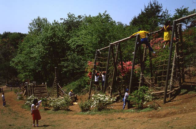 森林公園