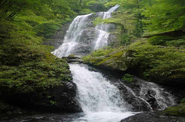 白猪の滝