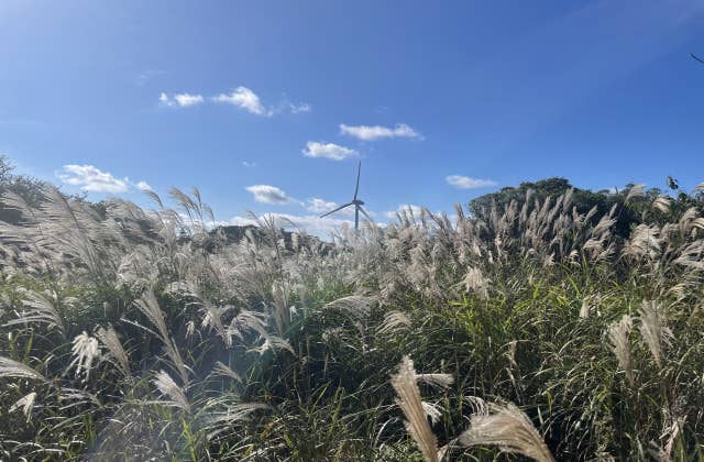 青山高原