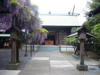 国領神社千年乃藤