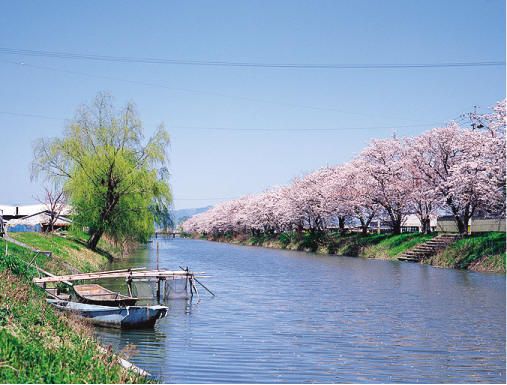 川の流れる柳の町 F6 W41センチ×H32センチ - なかっ