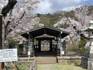 武田信玄の墓