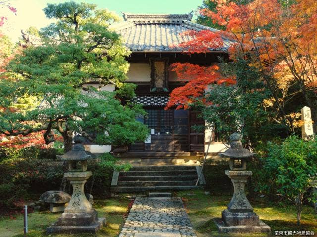 東方山安養寺紅葉