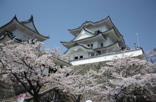 上野公園・桜