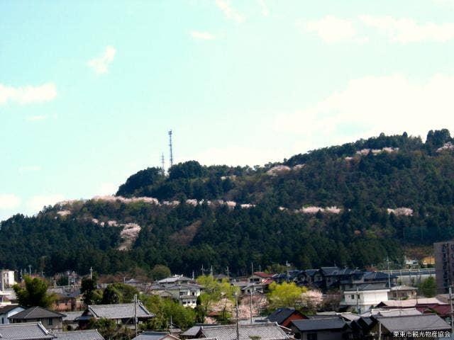 安養寺山道路