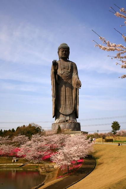 牛久大仏です。 牛久大仏 / 茨城県 -【JAPAN 47 GO】