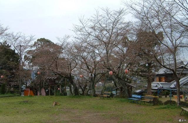 丸山公園