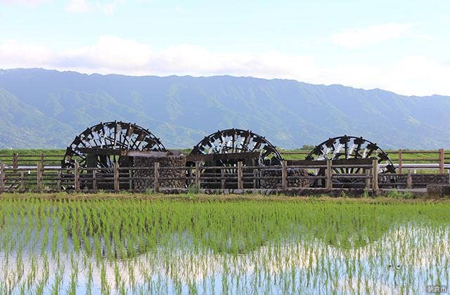 朝倉の三連水車