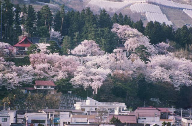 鳥帽子山公園