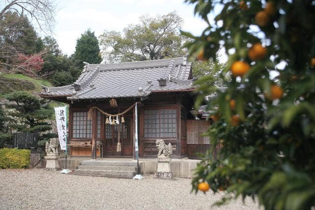 橘本神社