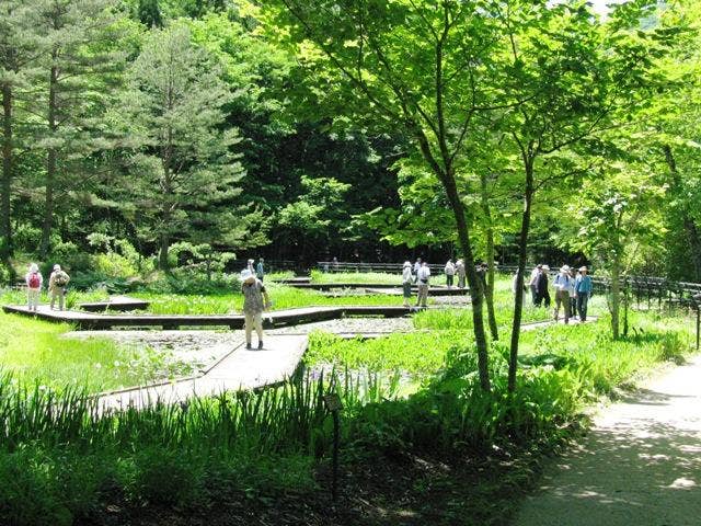 上三依水生植物園