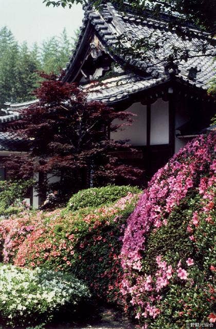 さつき寺（雲迎寺）