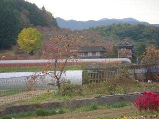 里山の秋