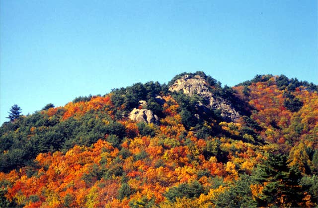 大師岩の紅葉