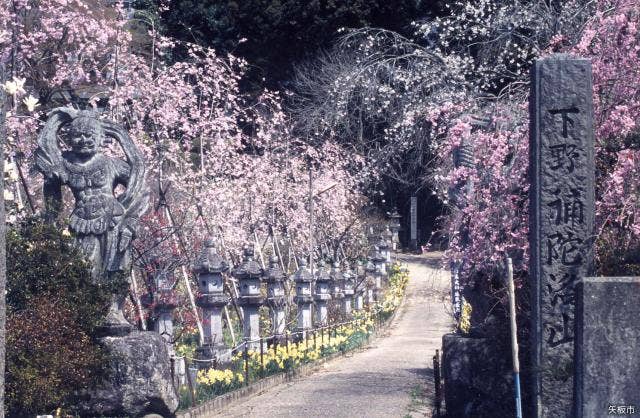 沢観音寺