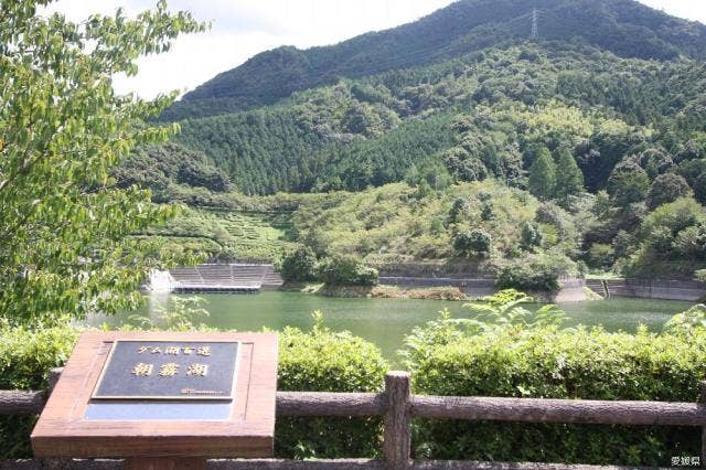 朝霧湖野村ダム