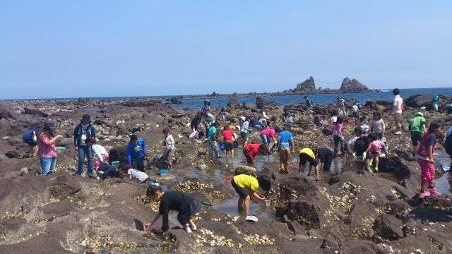 三ツ石海岸の磯遊び