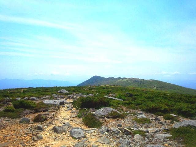 山頂からの景色