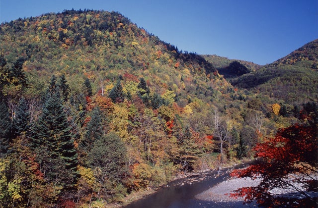 金山十梨別渓谷 / 北海道 -【JAPAN 47 GO】