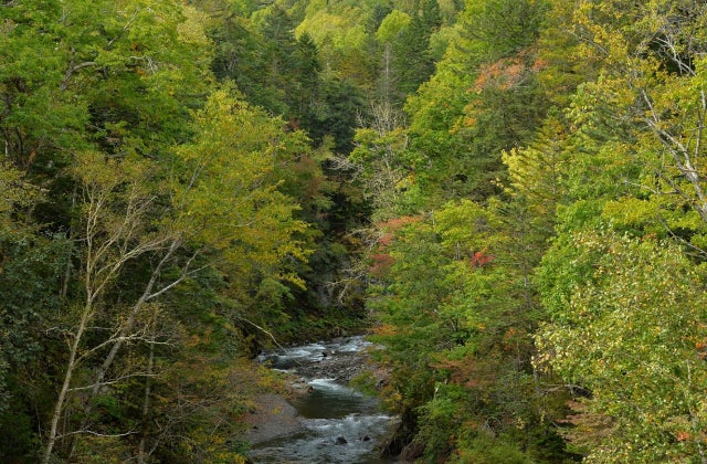 金山十梨別渓谷 / 北海道 -【JAPAN 47 GO】