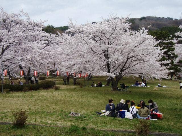 御所の台ふれあいパーク