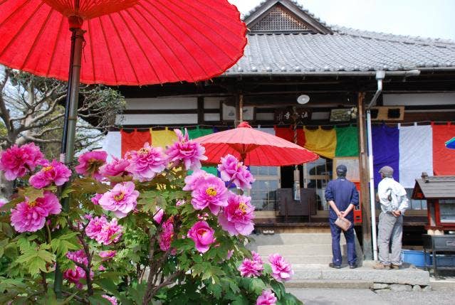 法安寺　ボタン