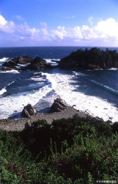 婦夫波