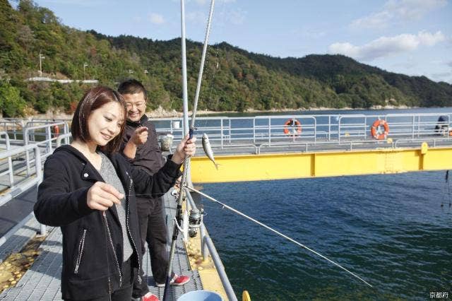 魚釣り風景