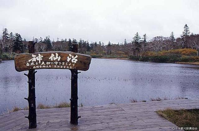 ニセコ連山の沼