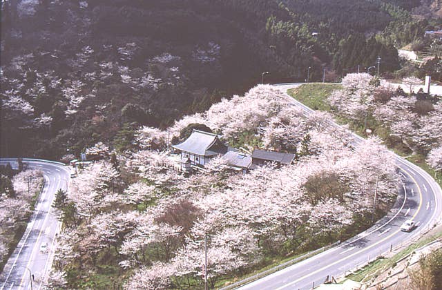 新吉野公園