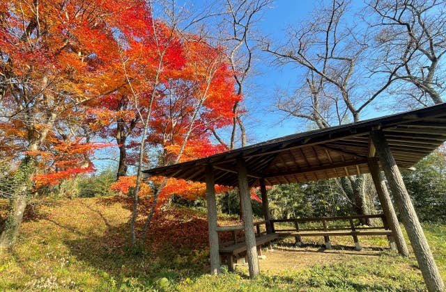 大窪城址公園