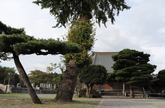 常福寺