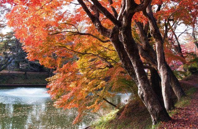 亀ケ城公園（棚倉城跡）