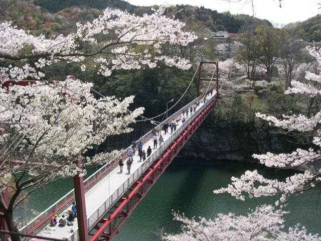 桜淵公園