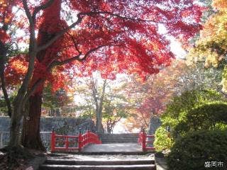 盛岡城跡公園 秋