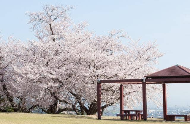 陽だまりの丘公園