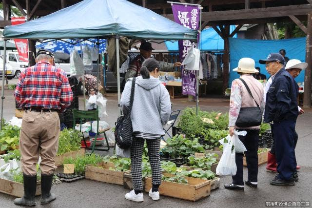 西馬音内朝市