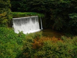 那倉川渓谷