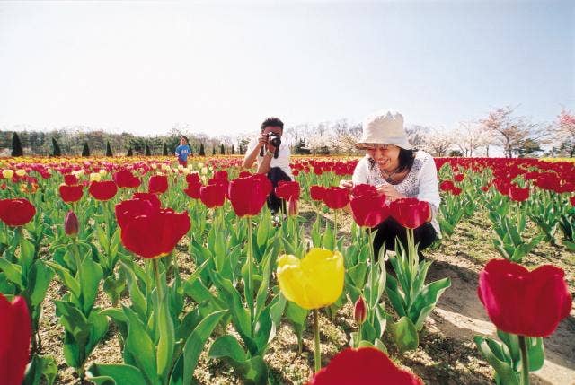 館ヶ森アーク牧場