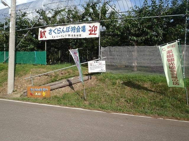 勝浦果樹園