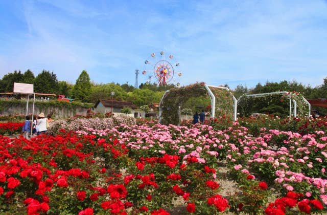 蜂ヶ峯総合公園