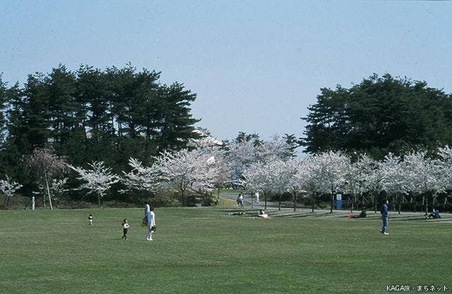 加賀市中央公園芝生広場