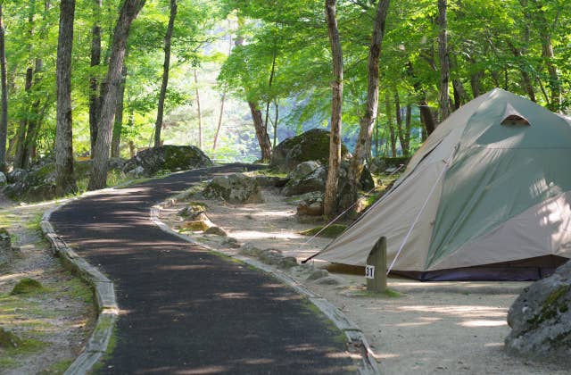 不動尊公園キャンプ場